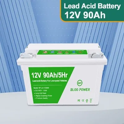 Olovo - kyselá baterie pro nízkou rychlostní vozidla