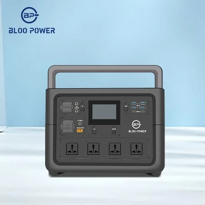 Power Station 1000 Watt
